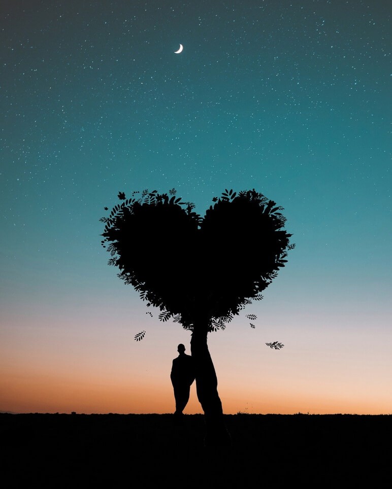 Expressing love for someone silhouette photo of man leaning on heart shaped tree
