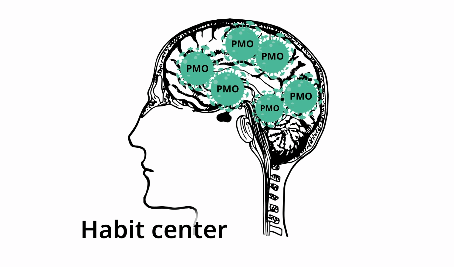 How to Heal Your Brain from Pornography Use - Habit center PMO virus